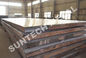 Chine Préparation de surface intérieure polie automatique de Tubesheet de place plaquée titanique de plat de SB265 Gr.1 exportateur